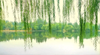 【養(yǎng)生知識】已入五九，六九將至，五九的養(yǎng)生秘訣，你知道嗎？