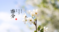 【二十四節(jié)氣灸】春分，平分了大地晝夜；艾灸，平衡了身體陰陽！