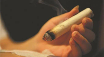 【艾灸知識】春暖花開，衣衫漸薄，再不減肥，身上的肉肉可藏不住了！