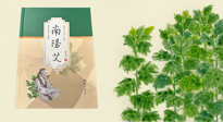 【行業(yè)資訊】國內(nèi)首部艾草專著《南陽艾》，在南陽新書首發(fā)！