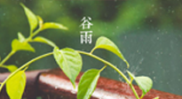 【二十四節(jié)氣灸】谷雨節(jié)氣脾土濕，艾灸降濕濁，脾旺不受邪！